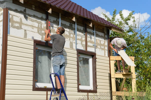 Best Aluminum Siding Installation  in Asbury, IA